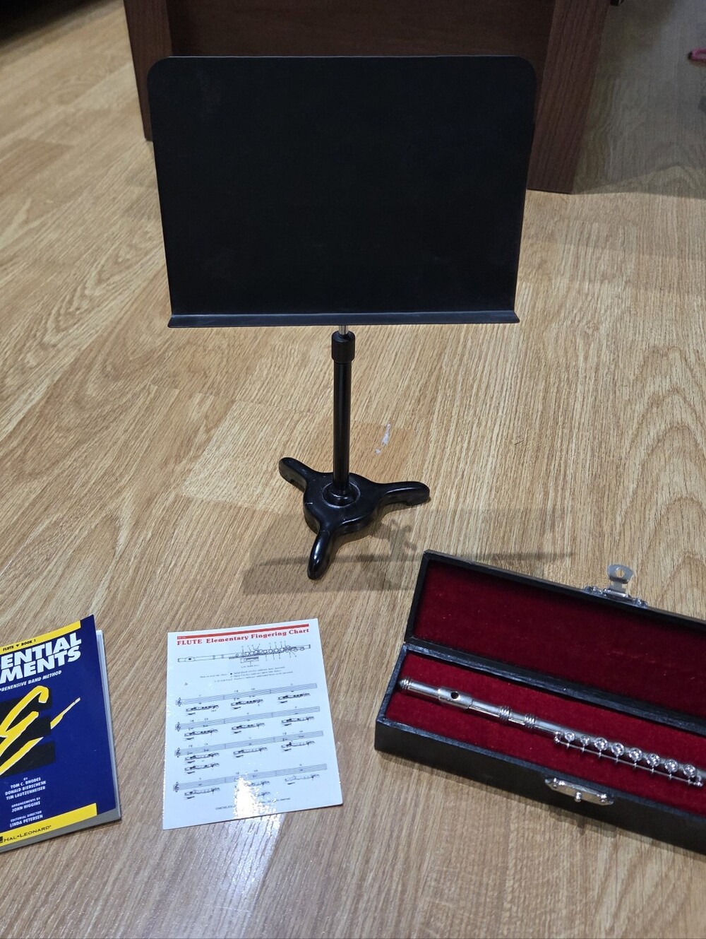 American Girl Doll Flute Set With Case, Music Stand, Sheet Music